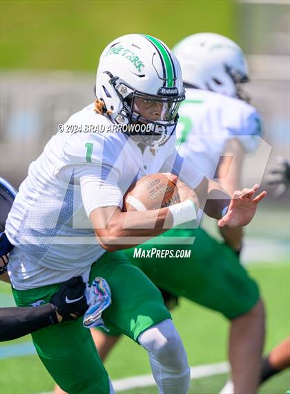 Thumbnail 3 in Myers Park @ Hough photogallery.