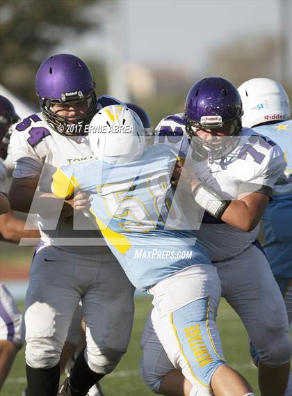 Thumbnail 3 in JV: Tokay @ Heritage photogallery.