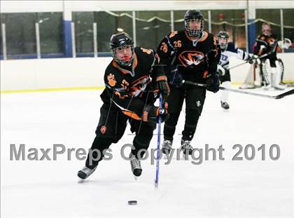 Thumbnail 1 in White Plains @ Suffern photogallery.