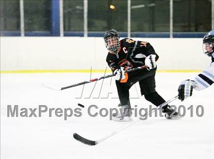Thumbnail 2 in White Plains @ Suffern photogallery.