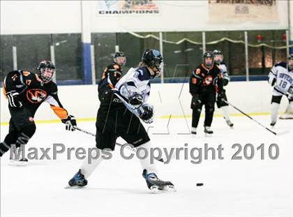 Thumbnail 1 in White Plains @ Suffern photogallery.