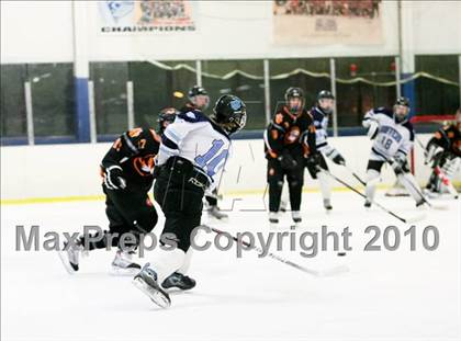 Thumbnail 3 in White Plains @ Suffern photogallery.