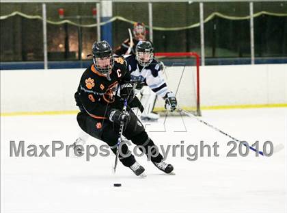 Thumbnail 1 in White Plains @ Suffern photogallery.