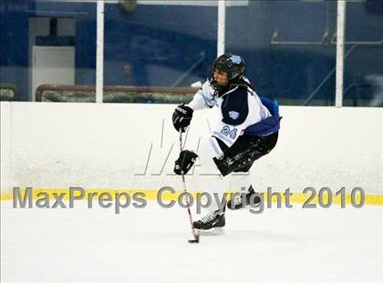 Thumbnail 2 in White Plains @ Suffern photogallery.