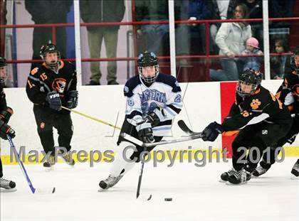 Thumbnail 3 in White Plains @ Suffern photogallery.