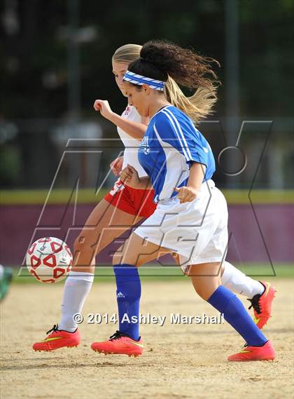 Thumbnail 3 in Maria Regina @ Monsignor McClancy photogallery.