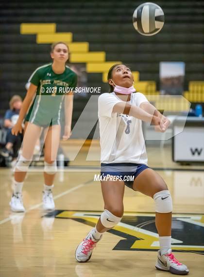 Thumbnail 3 in Del Norte @ Westview photogallery.