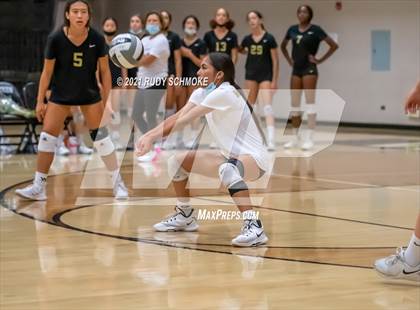 Thumbnail 2 in Del Norte @ Westview photogallery.