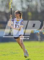 Photo from the gallery "Pine Forest @ Cape Fear"