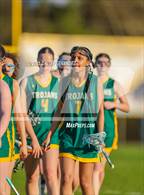 Photo from the gallery "Pine Forest @ Cape Fear"