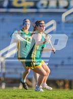 Photo from the gallery "Pine Forest @ Cape Fear"