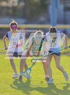 Photo from the gallery "Pine Forest @ Cape Fear"