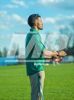 Photo from the gallery "Pine Forest @ Cape Fear"