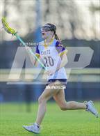 Photo from the gallery "Pine Forest @ Cape Fear"