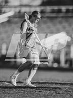 Photo from the gallery "Pine Forest @ Cape Fear"
