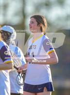 Photo from the gallery "Pine Forest @ Cape Fear"