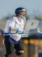 Photo from the gallery "Pine Forest @ Cape Fear"