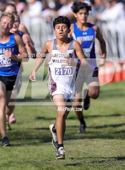 Thumbnail 2 in UIL Cross Country 4A Finals (5K) photogallery.