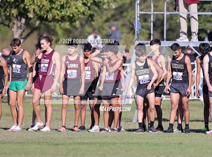 Thumbnail 1 in UIL Cross Country 4A Finals (5K) photogallery.
