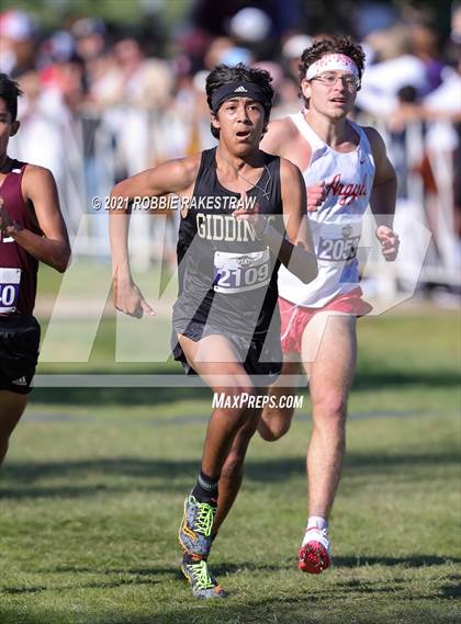 Thumbnail 2 in UIL Cross Country 4A Finals (5K) photogallery.