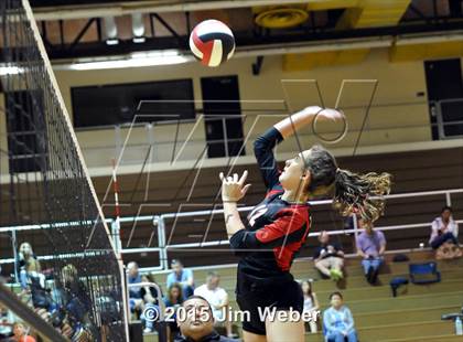 Thumbnail 3 in Mitchell @ Pasco photogallery.