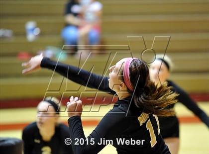 Thumbnail 3 in Mitchell @ Pasco photogallery.