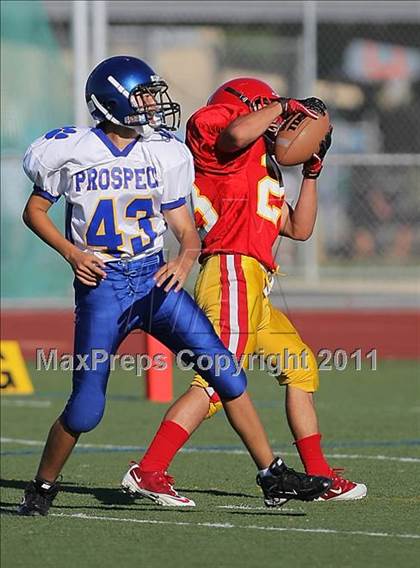 Thumbnail 2 in Prospect @ Willow Glen photogallery.