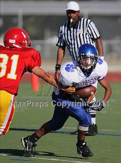Thumbnail 1 in Prospect @ Willow Glen photogallery.