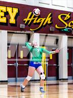 Photo from the gallery "McKay @ Crescent Valley"