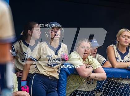Thumbnail 3 in Collierville @ Arlington photogallery.