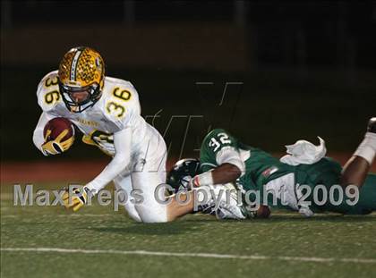 Thumbnail 1 in Vanden @ Rodriguez photogallery.