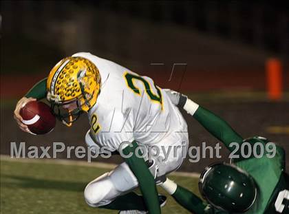Thumbnail 3 in Vanden @ Rodriguez photogallery.