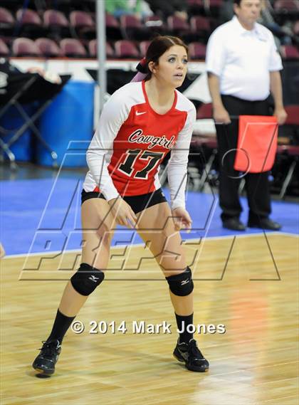 Thumbnail 3 in Willcox vs. Chandler Prep (AIA D4 Playoff) photogallery.