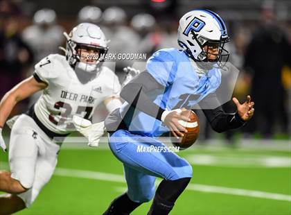 Thumbnail 3 in Deer Park @ Paetow photogallery.