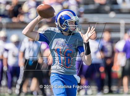 Thumbnail 1 in Garfield @ Lodi photogallery.