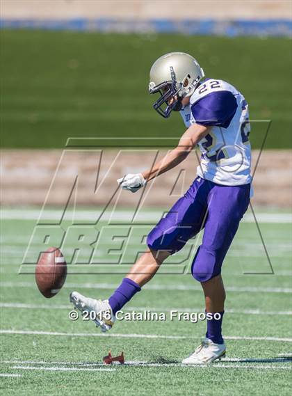 Thumbnail 1 in Garfield @ Lodi photogallery.