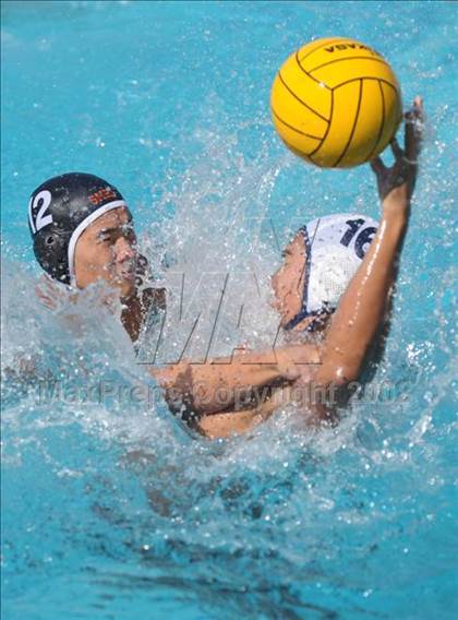 Thumbnail 3 in Carlmont @ San Mateo photogallery.