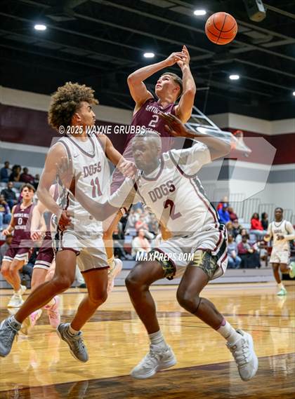 Thumbnail 1 in Martins Mill @ Jefferson photogallery.