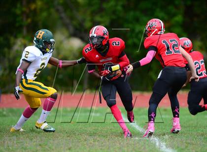 Thumbnail 1 in Hamden @ Wilbur Cross photogallery.