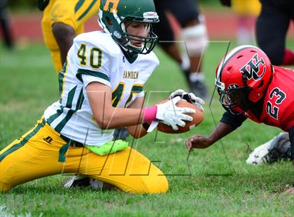 Thumbnail 1 in Hamden @ Wilbur Cross photogallery.