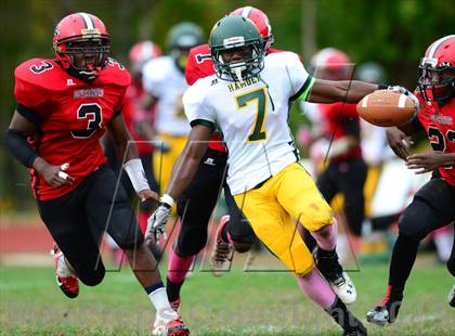 Thumbnail 3 in Hamden @ Wilbur Cross photogallery.