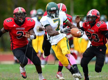Thumbnail 1 in Hamden @ Wilbur Cross photogallery.