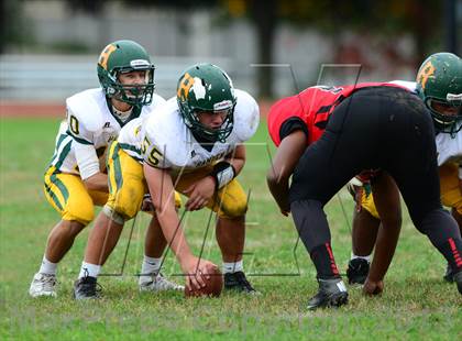 Thumbnail 1 in Hamden @ Wilbur Cross photogallery.