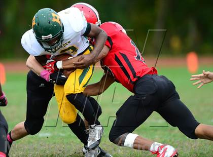 Thumbnail 2 in Hamden @ Wilbur Cross photogallery.