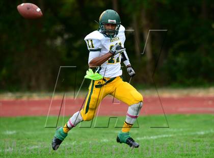 Thumbnail 2 in Hamden @ Wilbur Cross photogallery.