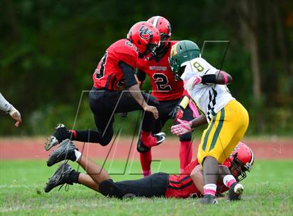 Thumbnail 1 in Hamden @ Wilbur Cross photogallery.