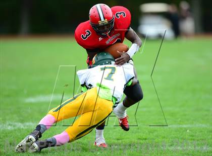 Thumbnail 1 in Hamden @ Wilbur Cross photogallery.