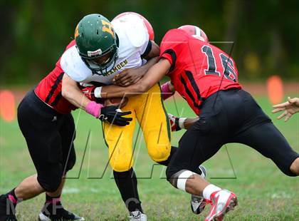 Thumbnail 1 in Hamden @ Wilbur Cross photogallery.