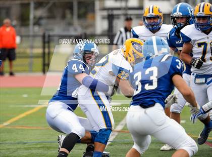 Thumbnail 1 in East Meadow @ Long Beach photogallery.