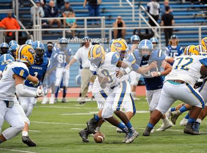Thumbnail 3 in East Meadow @ Long Beach photogallery.